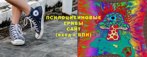 PSILOCYBIN Белокуриха