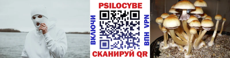 Псилоцибиновые грибы Magic Shrooms гидра ссылки Николаевск
